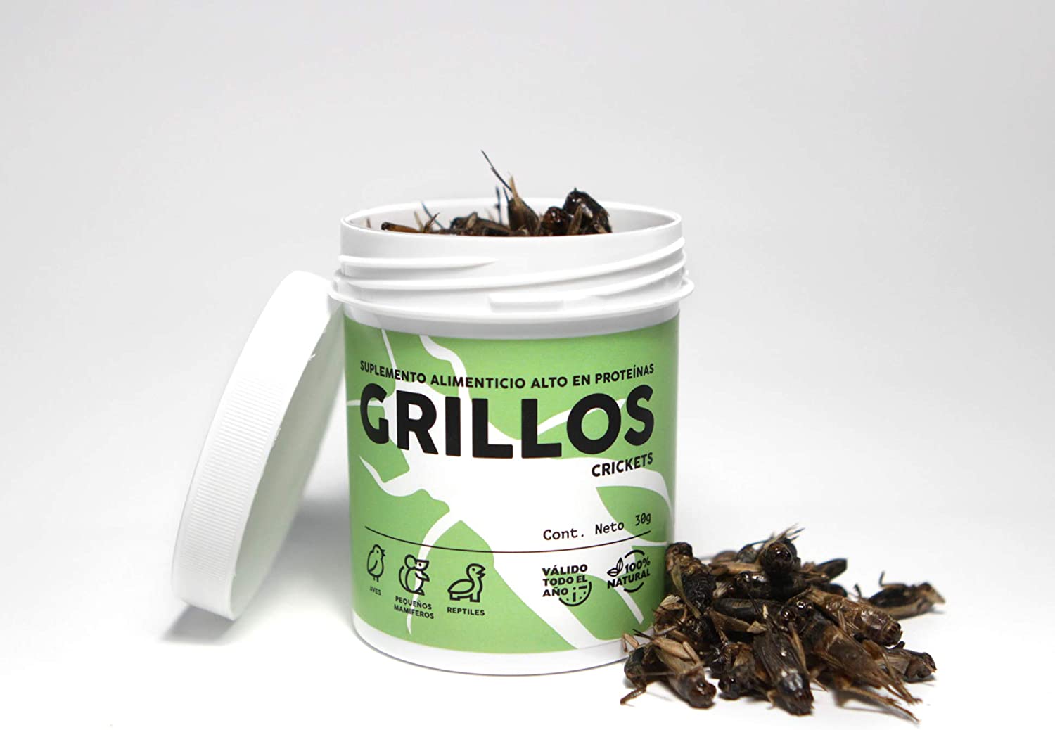  Feedect Grillo Deshidratado - Complemento Alimenticio Rico en Proteínas - 100% Natural - Comida para Pájaros, Aves de Corral, Tortugas, Saurios, Pogonas, Hámsters, Ratones, Pentauros, Jerbos (60) 