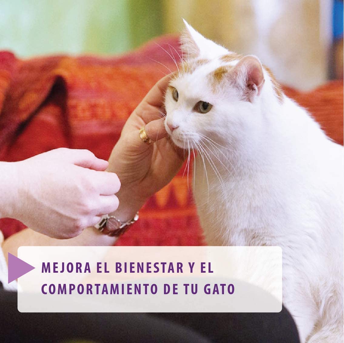  FELIWAY Classic - Antiestrés para gatos - Marcaje con orina, Miedos, Cambios en el entorno, Arañazos Verticales - Difusor + Recambio 48ml 