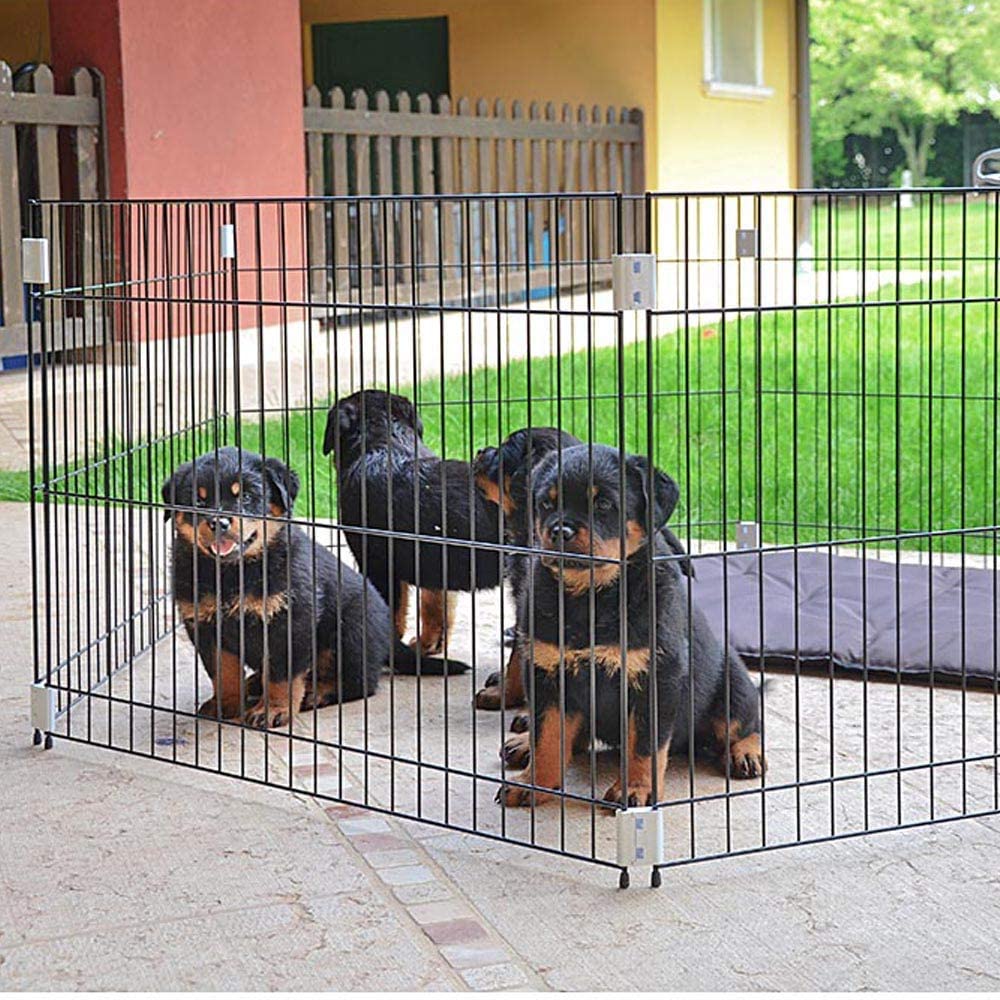  Ferplast Parque para Cachorros Corral para Perros Dog Training Recinto de Alambre de Interior Plegable, Patas Antideslizantes, Robusto Metal Pintado Negro, Asas ergonómicas, 80 x 80 x h 62 cm 