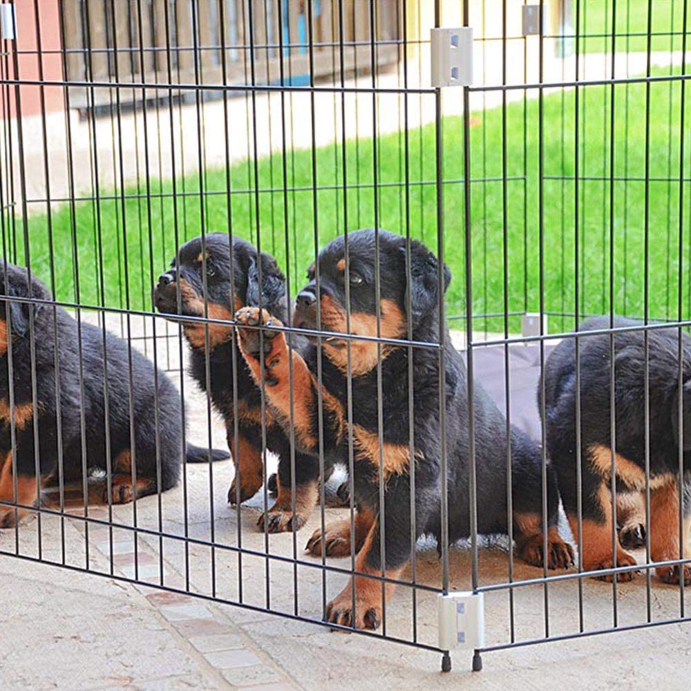  Ferplast Parque para Cachorros Corral para Perros Dog Training Recinto de Alambre de Interior Plegable, Patas Antideslizantes, Robusto Metal Pintado Negro, Asas ergonómicas, 80 x 80 x h 62 cm 