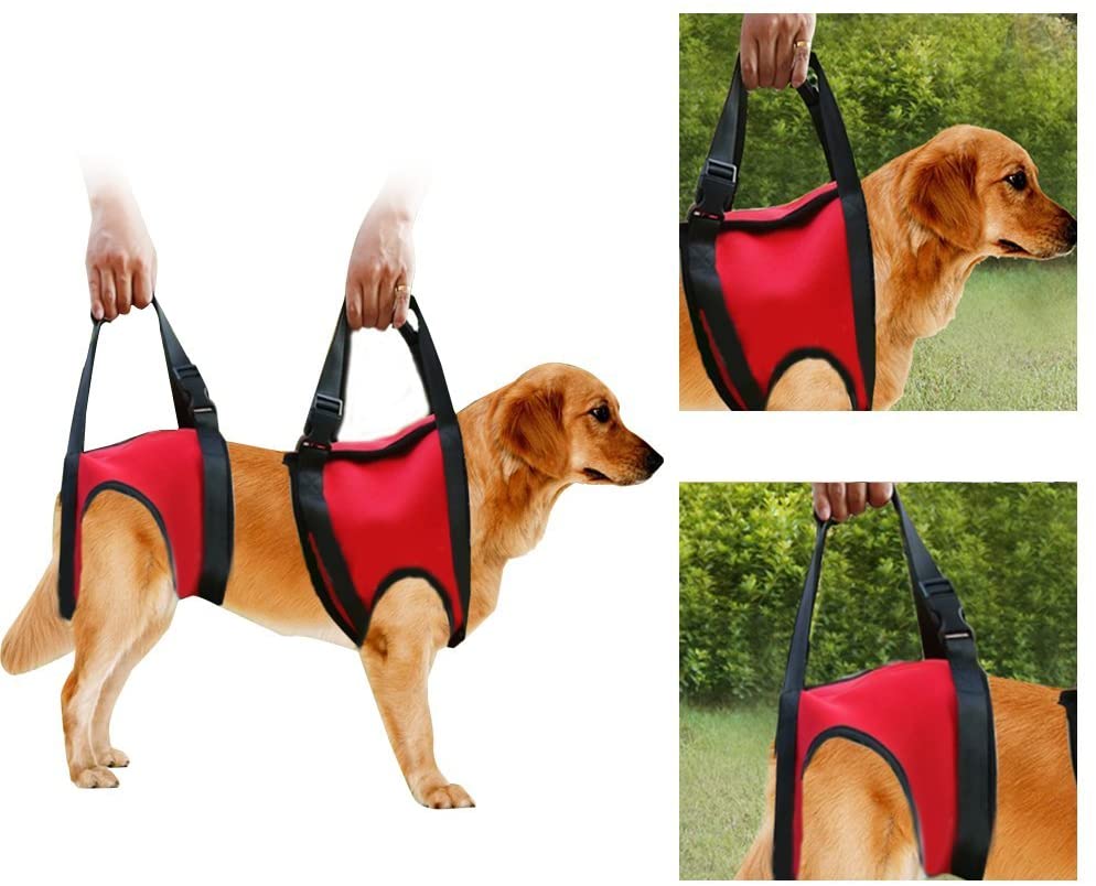  Filfeel Soporte para perros Arnés Pet Walking Ayuda Lifting Pulling Vest Sling Support Rehabilitation para perros viejos y heridos(Pata trasera - M-rojo) 