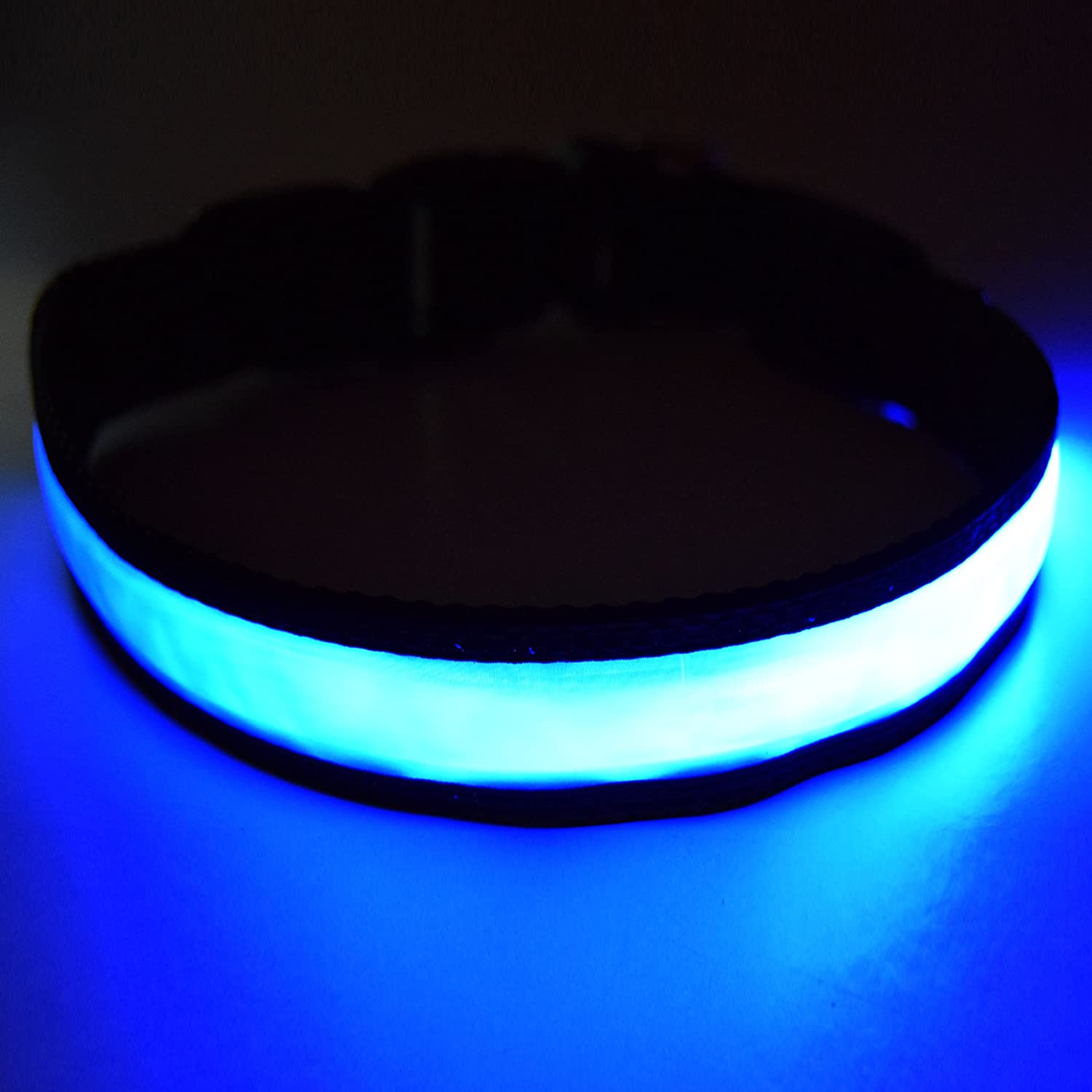  Fun Pets Collar de Seguridad para Perros con LED Recargable Ultra Brillante con Gran Visibilidad y Seguridad Mejorada Pequeño (30cm - 40cm / 11.8" - 15.7") Azul 