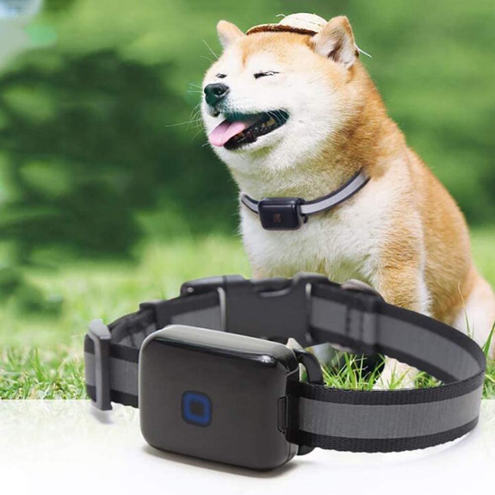  FXQIN Rastreador GPS para Perros, Anti Lost Pets Collar - Dispositivo de rastreo de Perros liviano e Impermeable y buscador de Mascotas, 2 tamaños de Opciones,S 