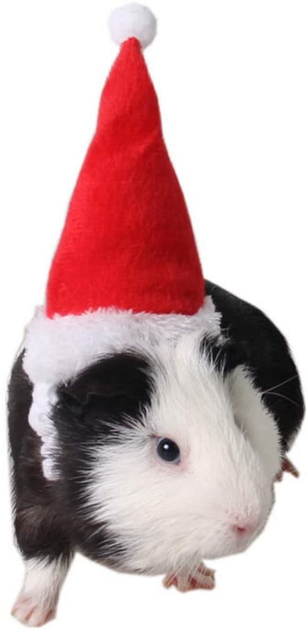  Gorro de Papá Noel para mascotas de Lailongp, conejo, hámster, cobayas, ratas, gorro de Navidad 