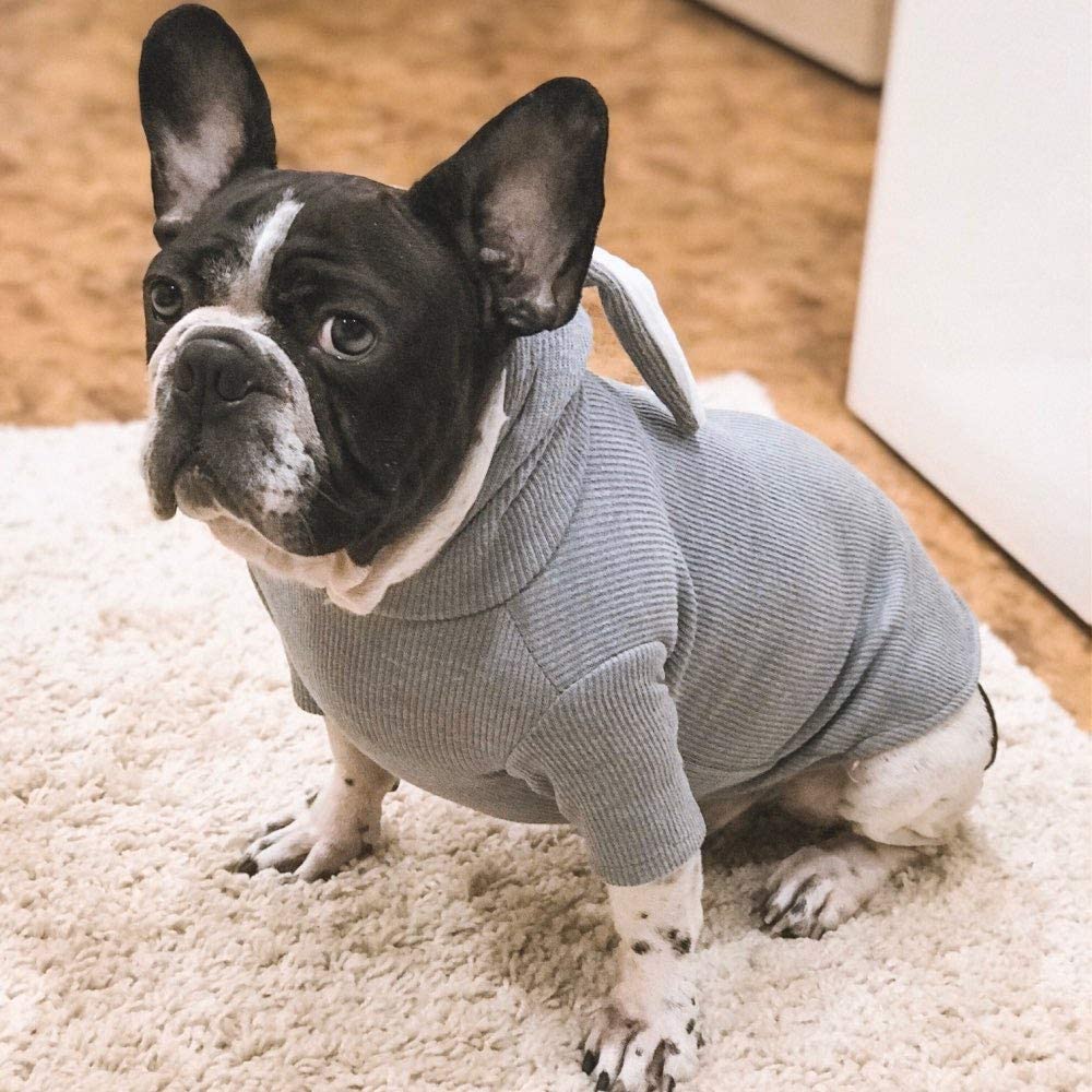  Greetuny Jersey Perro con Capucha con Orejas de Conejo Lindo Ropa de Perro Bulldog Frances Casual Hoodie de Mascotas (XL, Gris) 