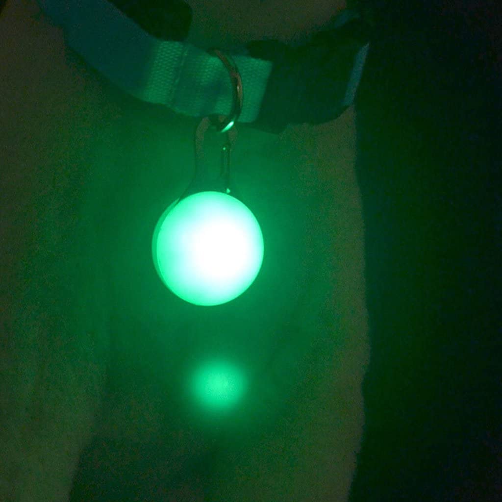  Haven shop Collar Luminoso para Mascotas, luz LED Brillante, Colgante de Seguridad Anti pérdida, Collar Que Brilla para identificación de Cachorros y Gatos 