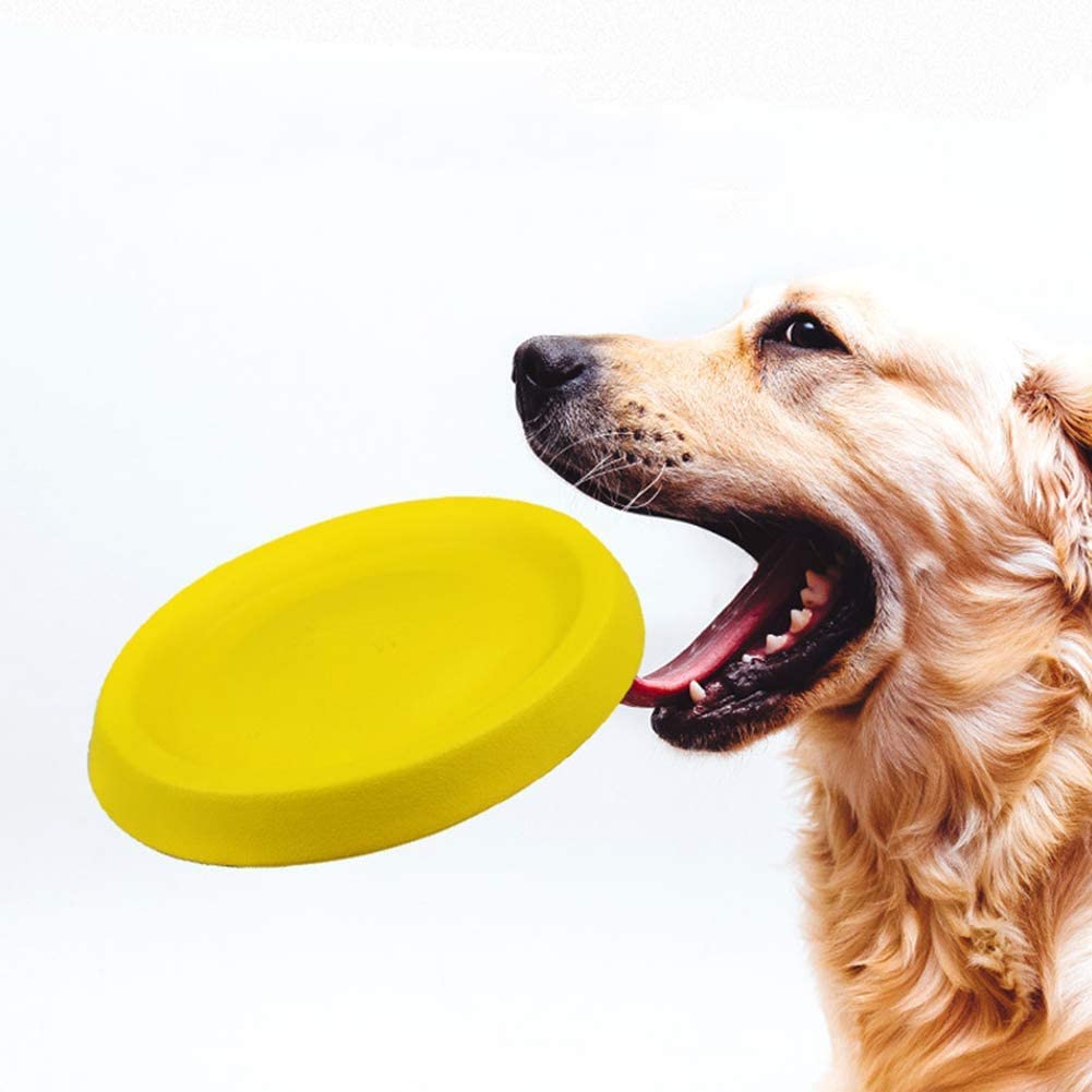  HEI SHOP Carmel Disco Volador de Frisbee Juguete para Perros, Resistente a los mordiscos, Divertido, Juguete para Mascotas 