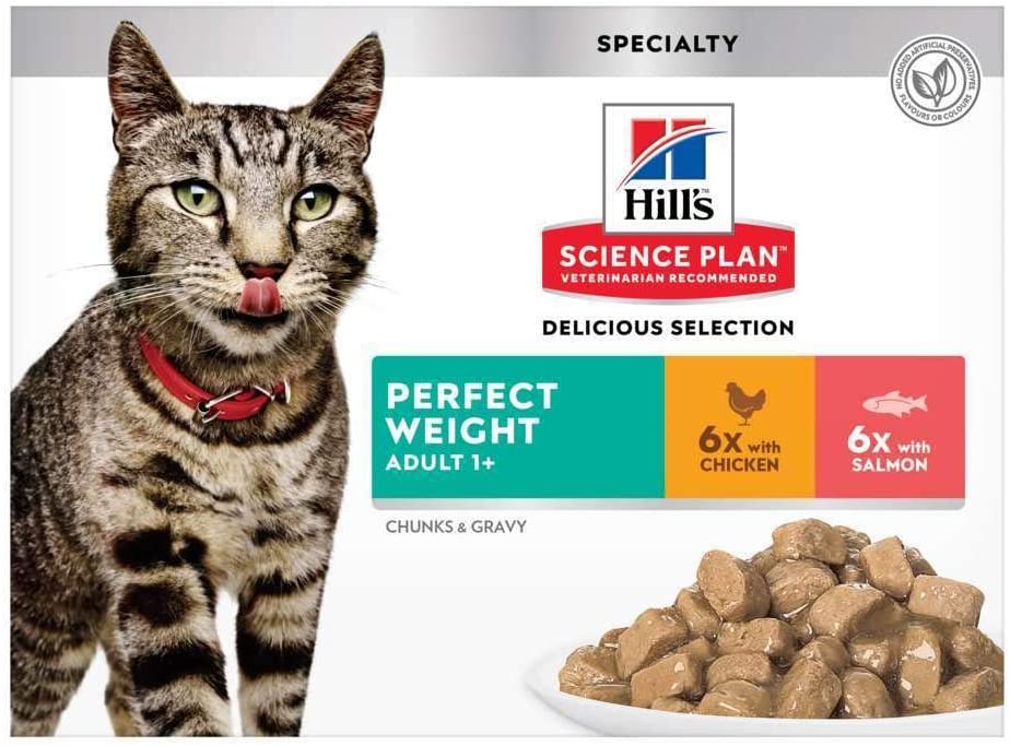  Hill's Science Plan C-54100 Perfect Weight - Comida para gatos 1+, 24 x 85 gr 