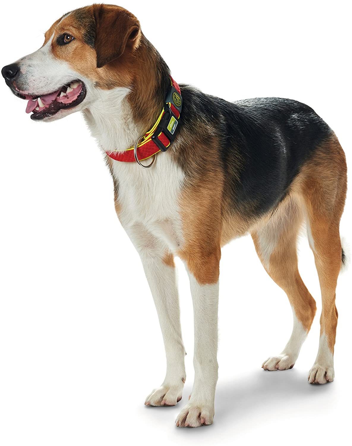  HUNTER Maui Vario Plus - Collar de Malla (33-50 cm), Color Rojo 