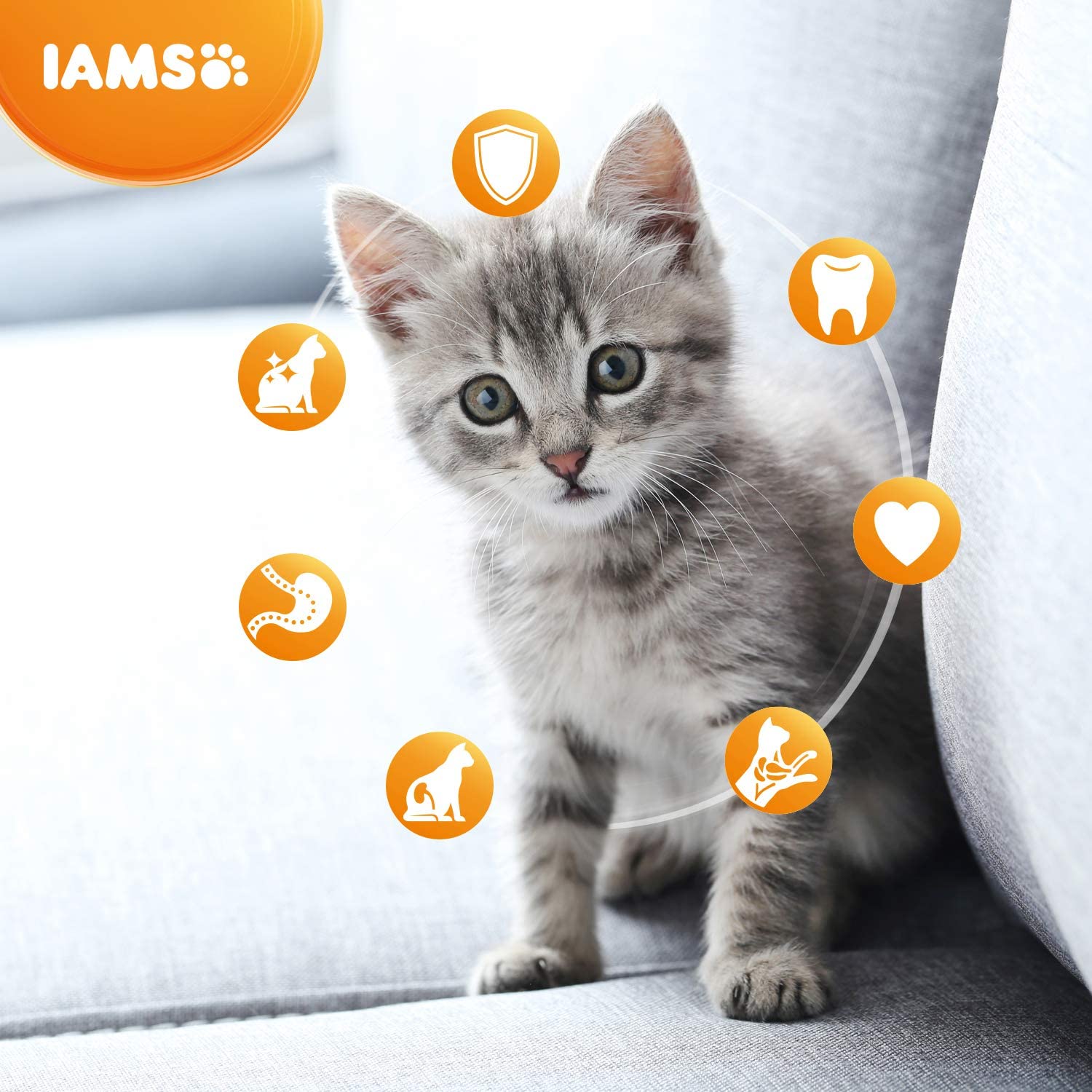  IAMS Alimentos de Mascotas - 3000 gr 