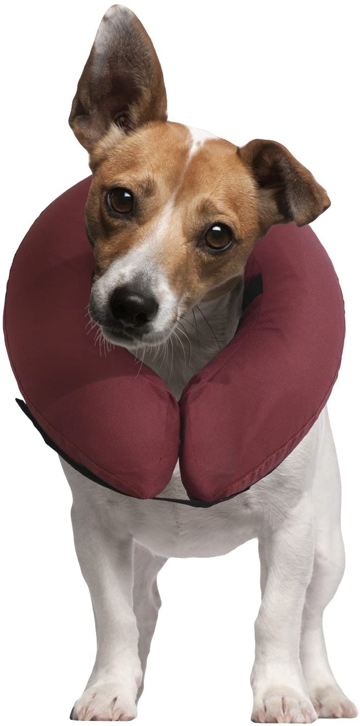  iCollr - El Collar Inflable - Collar Protector para Perros y Gatos en la Recuperación Postoperatoria 