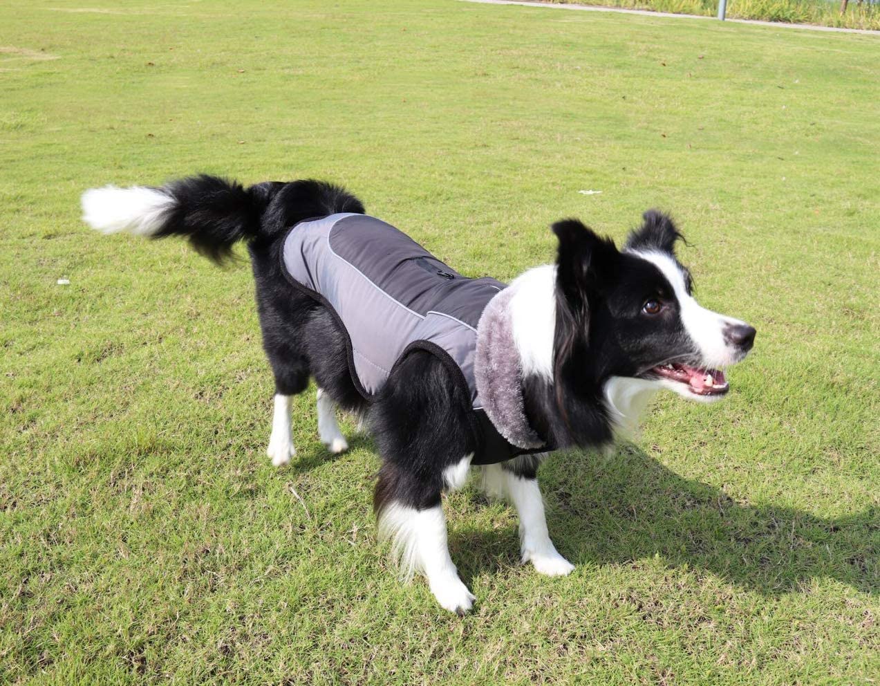  Idepet Chaqueta abrigada para perros, traje para nieve resistente al agua para mascotas, ropa reflectante a prueba de viento para perros pequeños, medianos y grandes, forro de algodón suave 