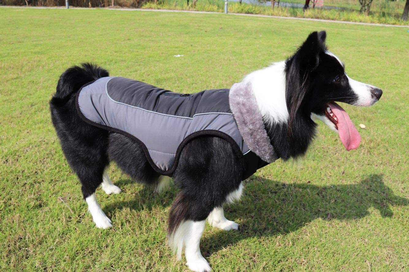  Idepet Chaqueta abrigada para perros, traje para nieve resistente al agua para mascotas, ropa reflectante a prueba de viento para perros pequeños, medianos y grandes, forro de algodón suave 