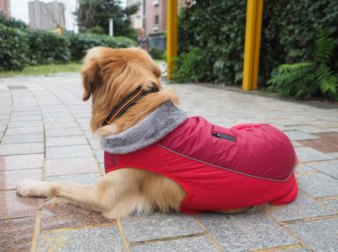  Idepet Chaqueta abrigada para perros, traje para nieve resistente al agua para mascotas, ropa reflectante a prueba de viento para perros pequeños, medianos y grandes, forro de algodón suave 