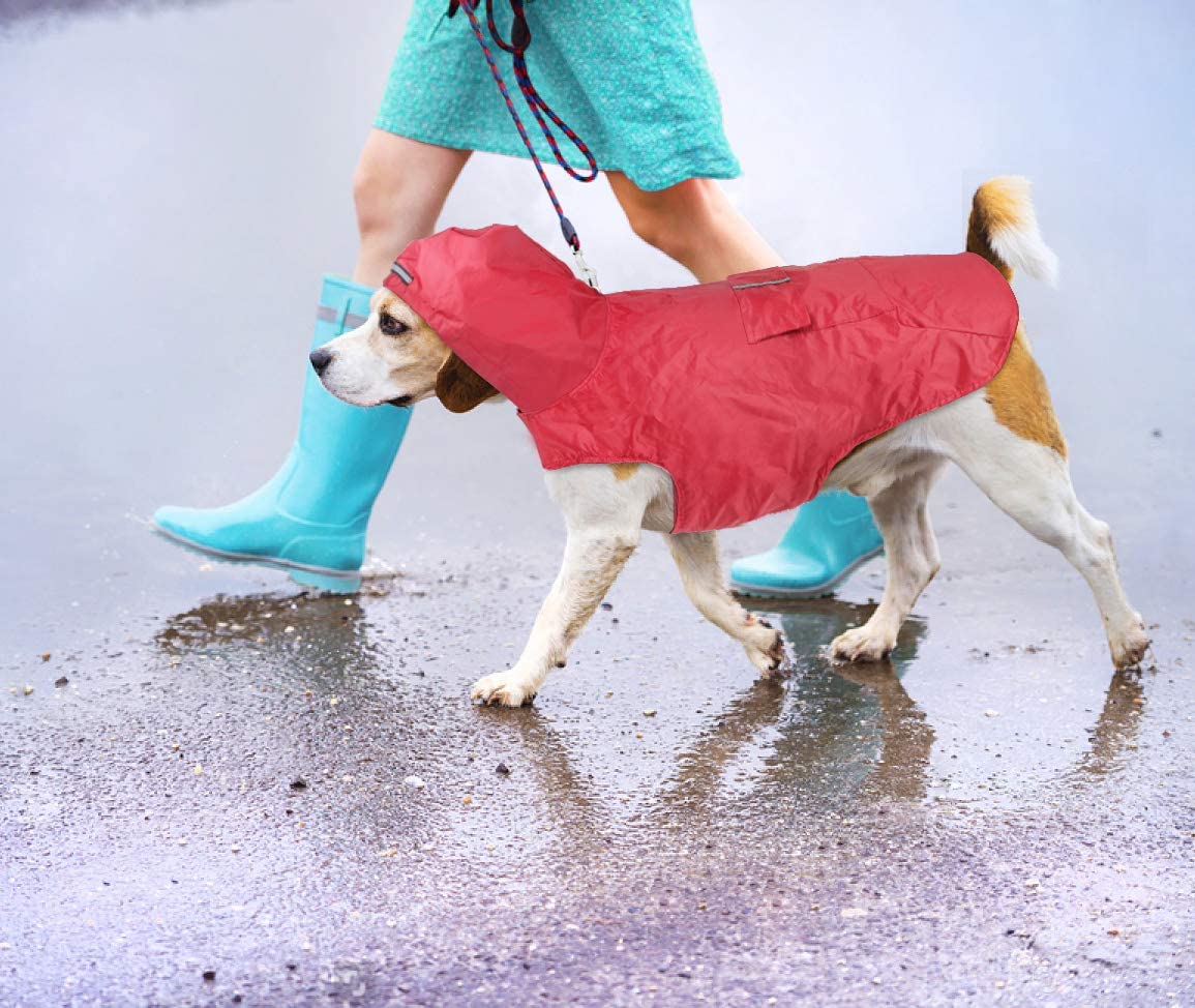  Idepet Chubasquero para perros con capucha y cuello,Poncho impermeable para lluvia para perros Chaqueta de lluvia para perros Sudaderas a prueba de viento perros pequeños, medianos y grandes 