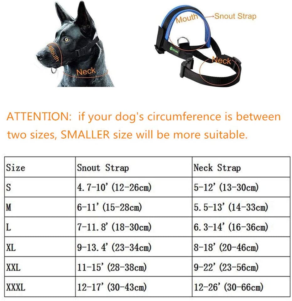  ILEPARK Bozal de Nylon para Perros Grandes Previene Mordidas, Ladridos y Que Mastiquen, Bozal Lazo Ajustable (L,Azul) 