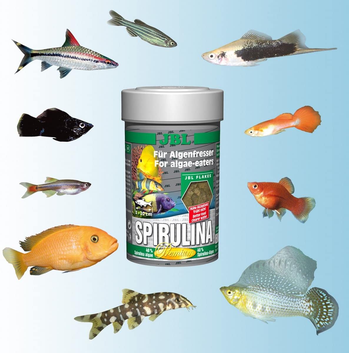  JBL Premium Solos Forro para algenfressende Acuarios Peces, Copos, spiru Lina 