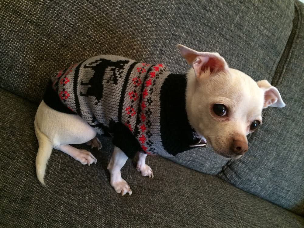  Jersey de invierno para chihuahuas y perros pequeños, ropa de perro de alta calidad, adorable diseño noruego 