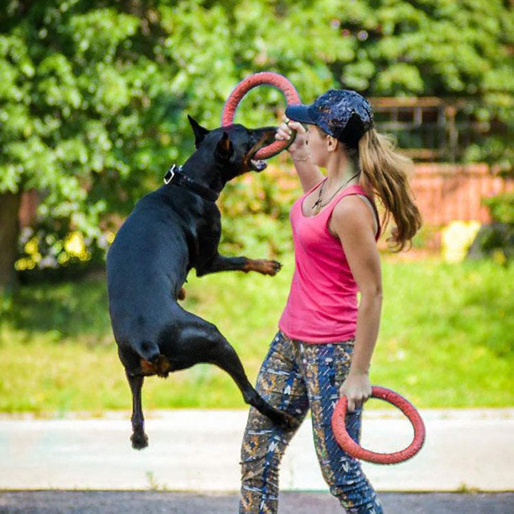  JIGAN 3pcs Perro Frisbee, Anillo de Perro Mascota Frisbee Perro Tiro Juguete Divertido Perro Juguetes de Entrenamiento Morder Goma Flotante Frisbee Entrenamiento Perro Suministros,L 