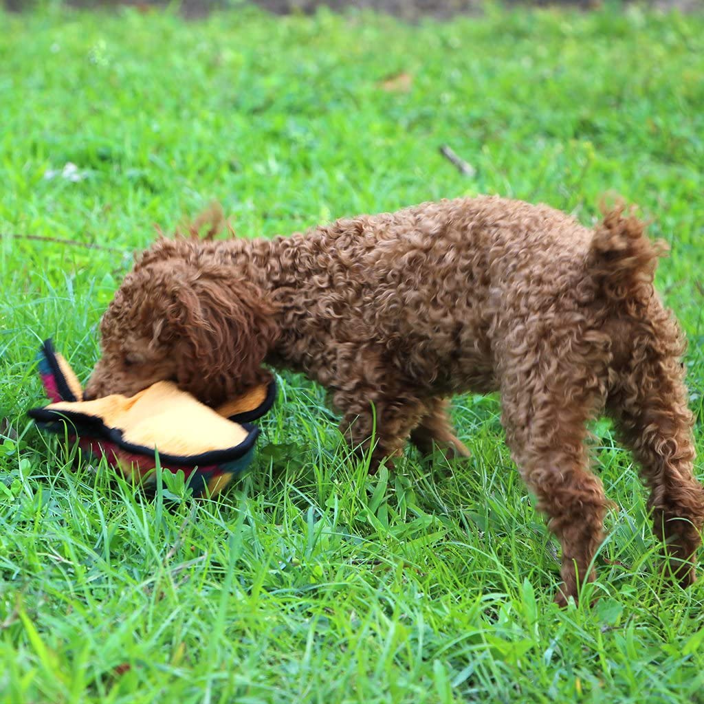  Juguete de peluche para perros de IFOYO, duradero, con chirrido, para perros grandes y pequeños; regalo ideal de Navidad 