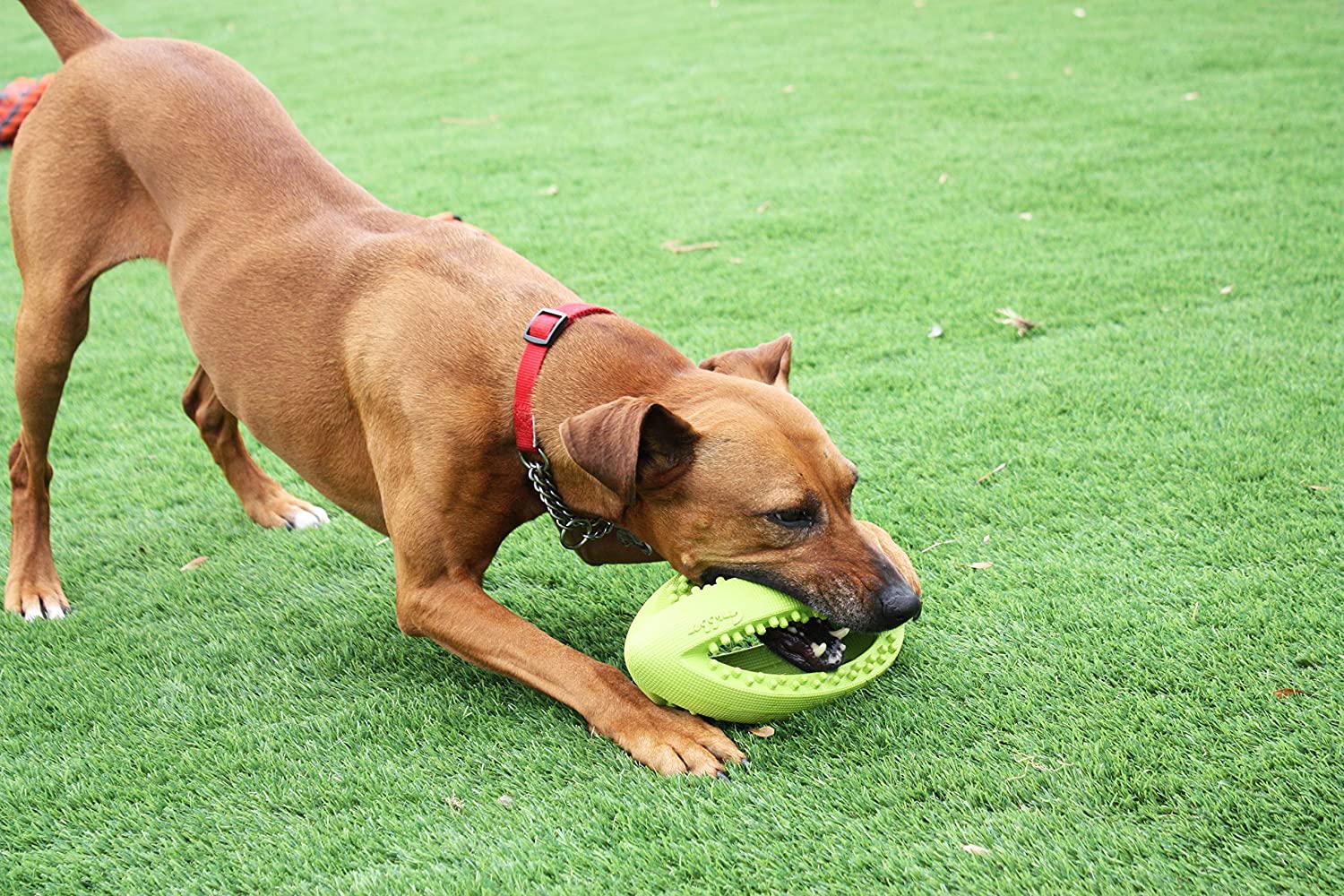  Juguete para Perros de Happy Pet, con Forma de balón de Rugby 