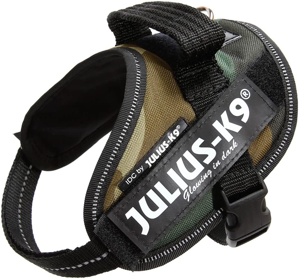  Julius-K9 16IDC - Power Harness 