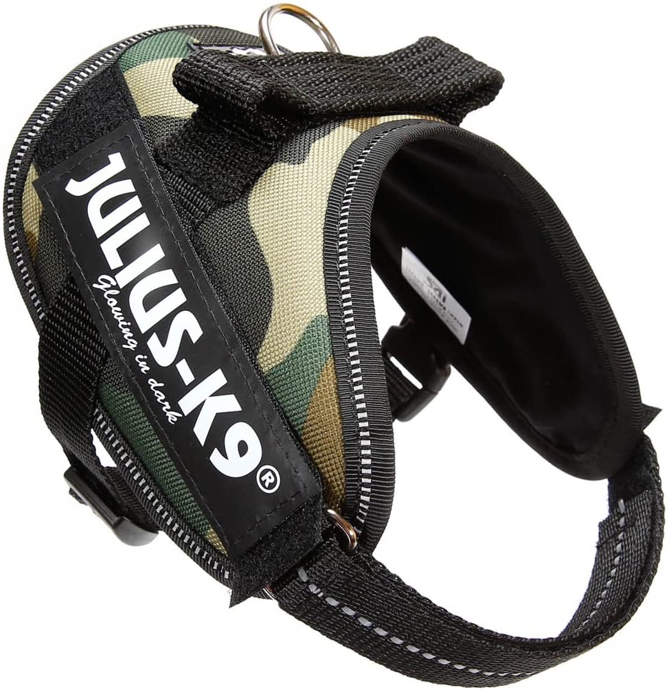  Julius-K9 16IDC - Power Harness 