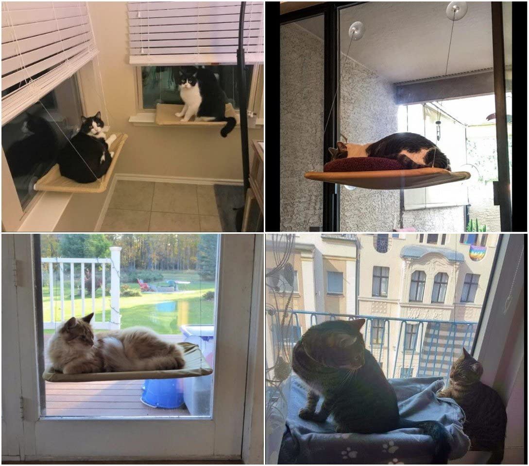  JZK Ventana montada hamaca para gato + manta gato, cama colgante mascota ventosas y manta negra para gato perca 