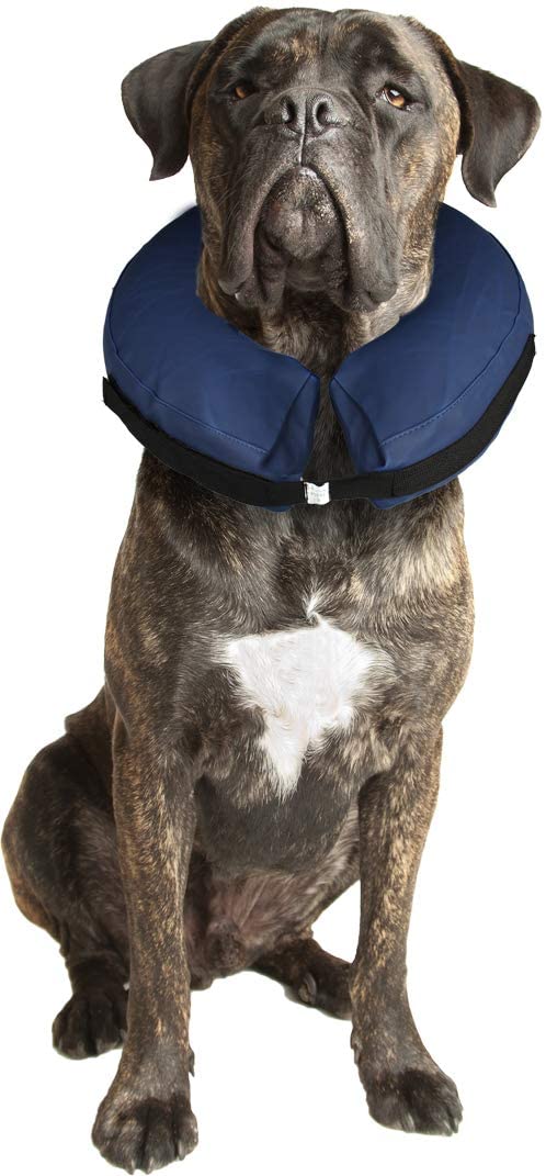  Karlie 513237 Collar Inflable para Perros, 25-40 cm, M 