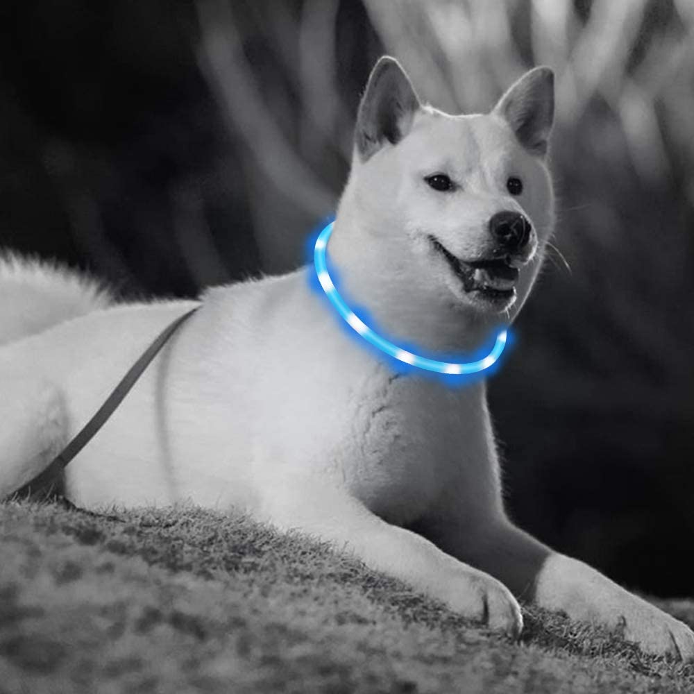  LaRoo LED Collar para Perros, LED Collar de Seguridad para Perros Mascotas de LED Luminous Que Brilla en la Noche Brillante Collar para Perros, Gatos y Mascotas 