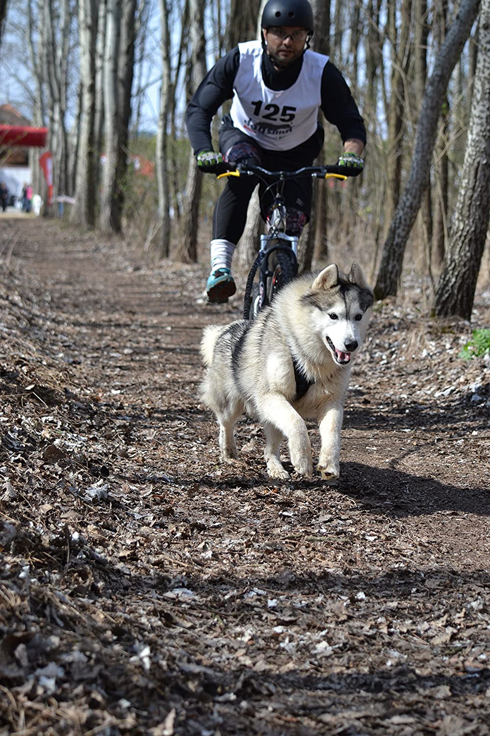  LasaLine Perros Tren Vajilla X de Back para CANI Cross de Ciclismo, esquí de jöring Scooter Trineo Negro Neon Verde 