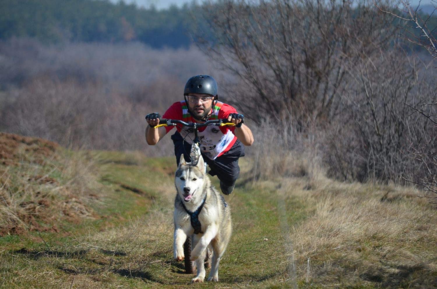  LasaLine Perros Tren Vajilla X de Back para CANI Cross de Ciclismo, esquí de jöring Scooter Trineo Negro Neon Verde 