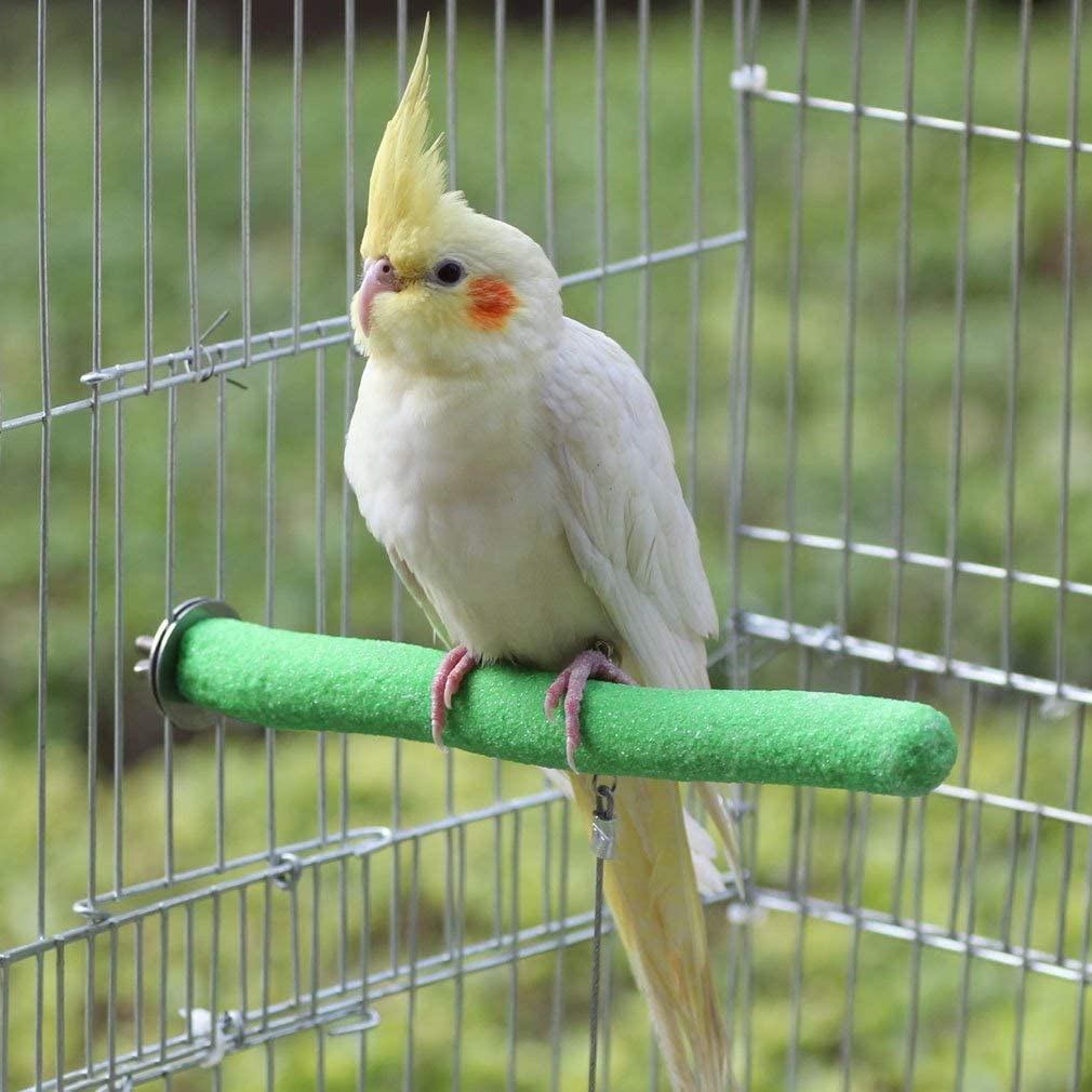  Legendog Perca de Pájaro, 5PCS Palo para Pájaros, Juguetes para Pajaros, Columpio de Pájaros (Perca) 