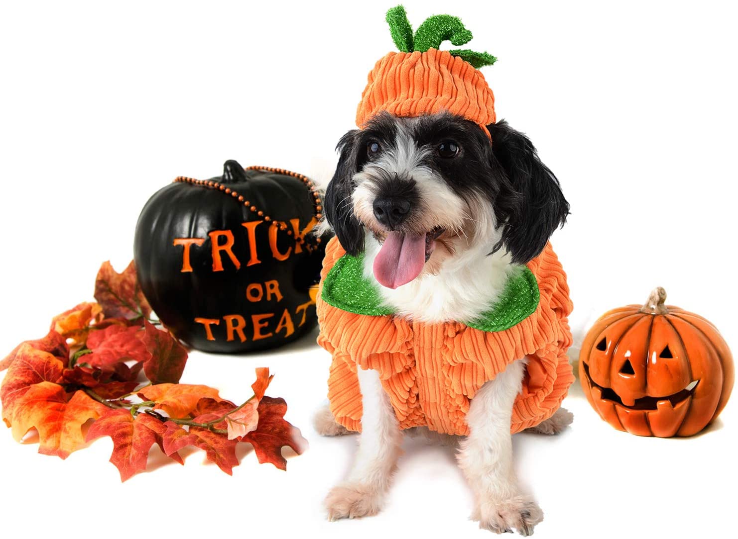  Legendog Ropa De Calabaza para Perros Ropa De Mascotas Creativa Disfraces De Halloween para Perros con Sombrero De Calabaza 