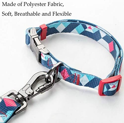  LMDZSW Nylon Dog Pet Collar y Correa Set Accesorios de Viaje para Caminar Puppy Dog Leash M como se Muestra en la Imagen 