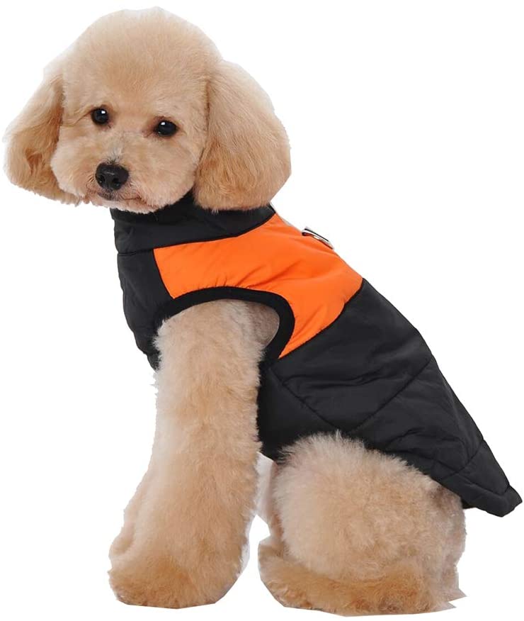  mama stadt Ropa para Mascotas Perros Invierno Chaleco Caliente Algodón Abrigo Chaqueta Impermeable Perro Pequeño Mediano Ropa de Nieve Tamaño XS-5XL 