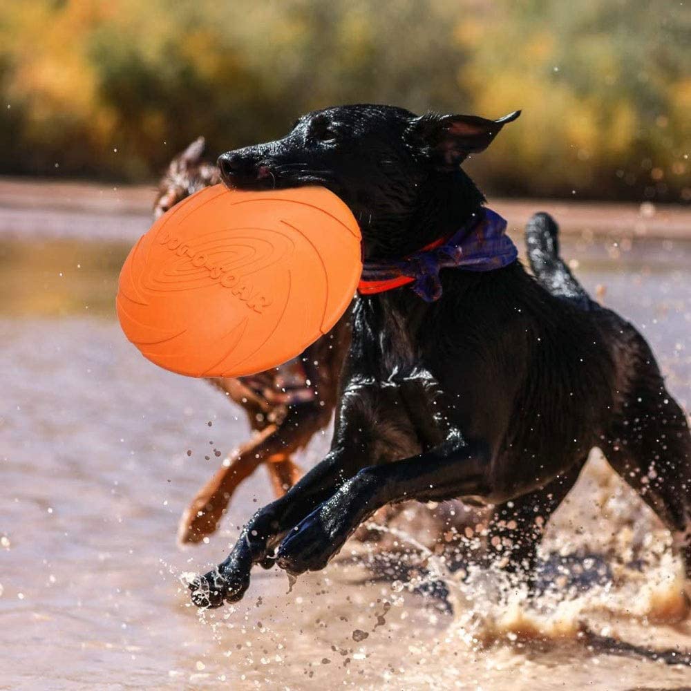  Markc Naranja de adiestramiento de Mascotas y Jugar Frisbee Perro Frisbee Perro Flotante Juguetes del Perro de Juguetes indestructibles Disco de Goma for Perros Frisbee Volar no tóxico (tamaño : L) 