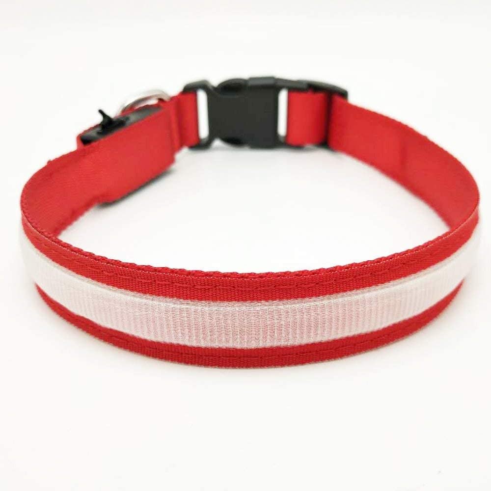  MASBRILL Collar de Perro Recargable de Seguridad LED - Collar Seguro Intermitente para Mascotas - Impermeable 