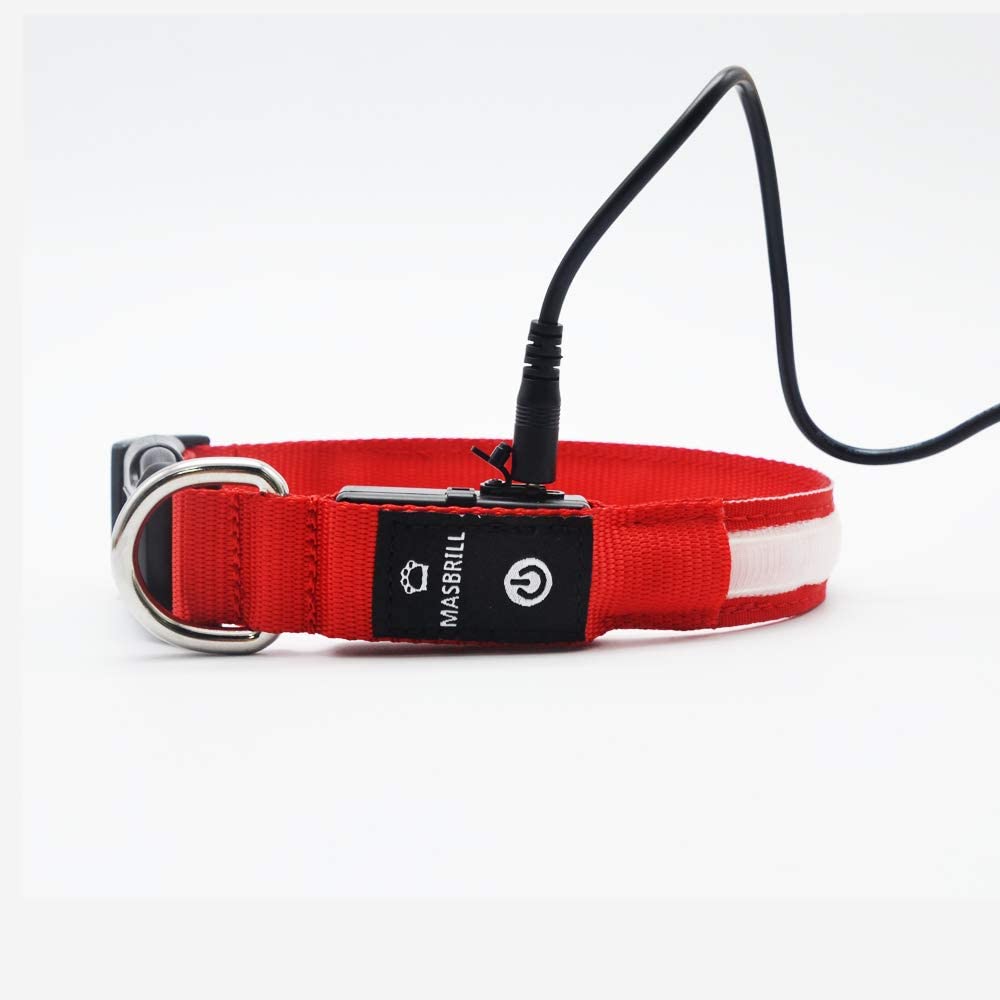  MASBRILL Collar de Perro Recargable de Seguridad LED - Collar Seguro Intermitente para Mascotas - Impermeable 