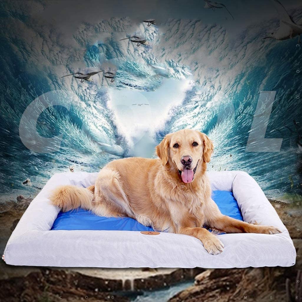  Mascota Hielo Pad Mat Perro Dormir del Verano Cama De Agua Mat Verano De Enfriamiento del Cojín del Pelo De Oro Anti-morder Nido De Hielo AIJIEGE (Color : A, Tamaño : Metro) 