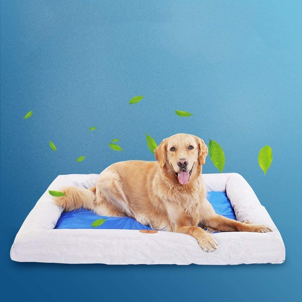  Mascota Hielo Pad Mat Perro Dormir del Verano Cama De Agua Mat Verano De Enfriamiento del Cojín del Pelo De Oro Anti-morder Nido De Hielo AIJIEGE (Color : A, Tamaño : Metro) 