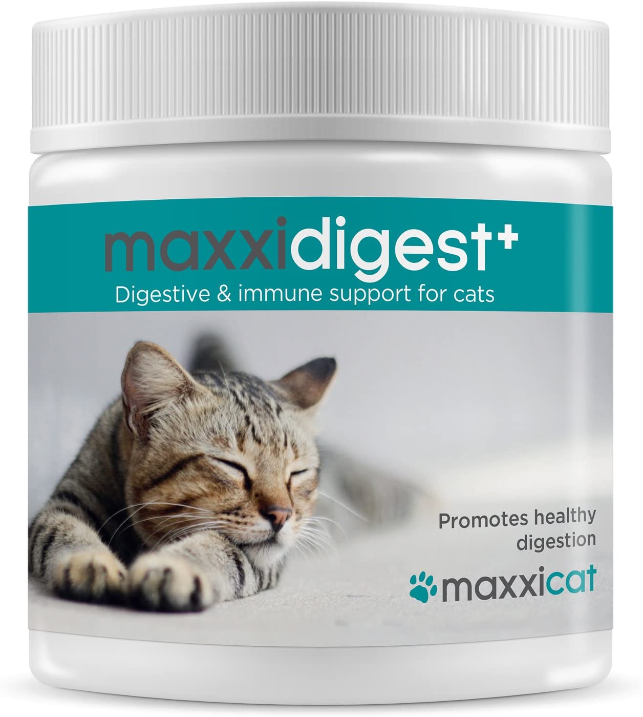  maxxicat – maxxidigest+ Probióticos, prebióticos y enzimas digestivas para Gatos - Ayuda Avanzada a la digestión Felina & al Sistema inmunológico - Sin Polvo OGM - Polvos 200 g 