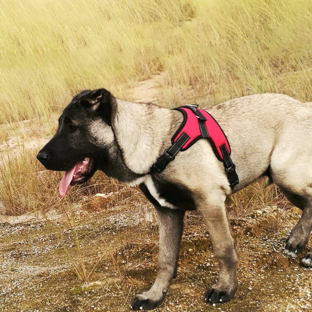  MerryBIY Arnés del Animal Doméstico Pet Harness Perro Collar Chaleco para Mascotas en el Pecho Correas con la Manija Accesorio Cuerda Lo Mejor para Pasear(Rojo, M) 