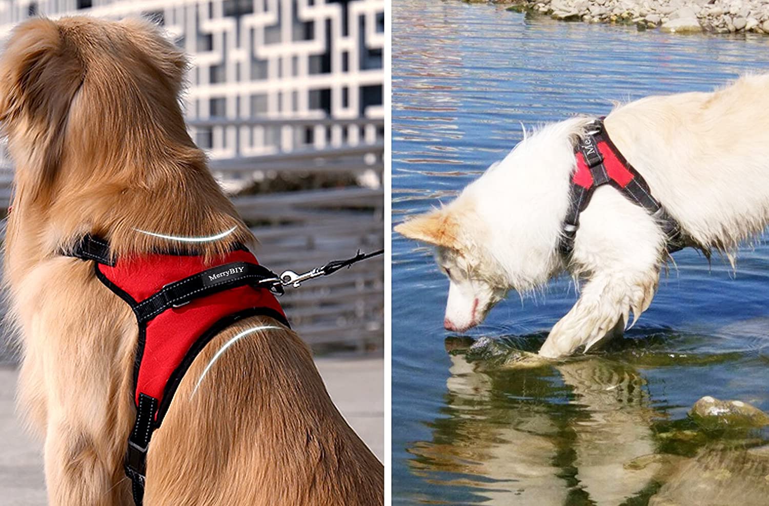  MerryBIY Arnés del Animal Doméstico Pet Harness Perro Collar Chaleco para Mascotas en el Pecho Correas con la Manija Accesorio Cuerda Lo Mejor para Pasear(Rojo, M) 