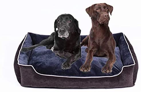  Midiao Perro Transpirable Cama BiteWear Resistente Gato Cama del Animal doméstico a Prueba de Humedad Duradero Cama Cojines Desmontable Jaula cómodo del Perro casero o cajón, Azul Marino, 50cm 