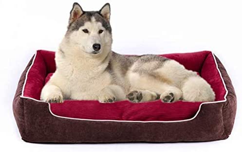  Midiao Perro Transpirable Cama BiteWear Resistente Gato Cama del Animal doméstico a Prueba de Humedad Duradero Cama Cojines Desmontable Jaula cómodo del Perro casero o cajón, Vino Tinto, 70cm 