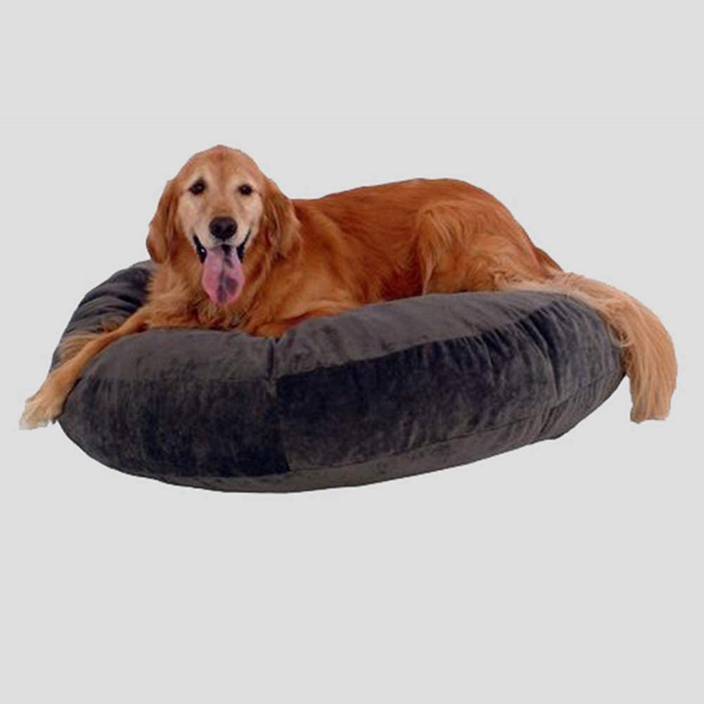  Monba Colchón ortopédico para Perro Premium con cojín extraíble con Cremallera, terapéutico/Apoyo/Cama cálida para Cachorros pequeños de 60 x 10 cm 