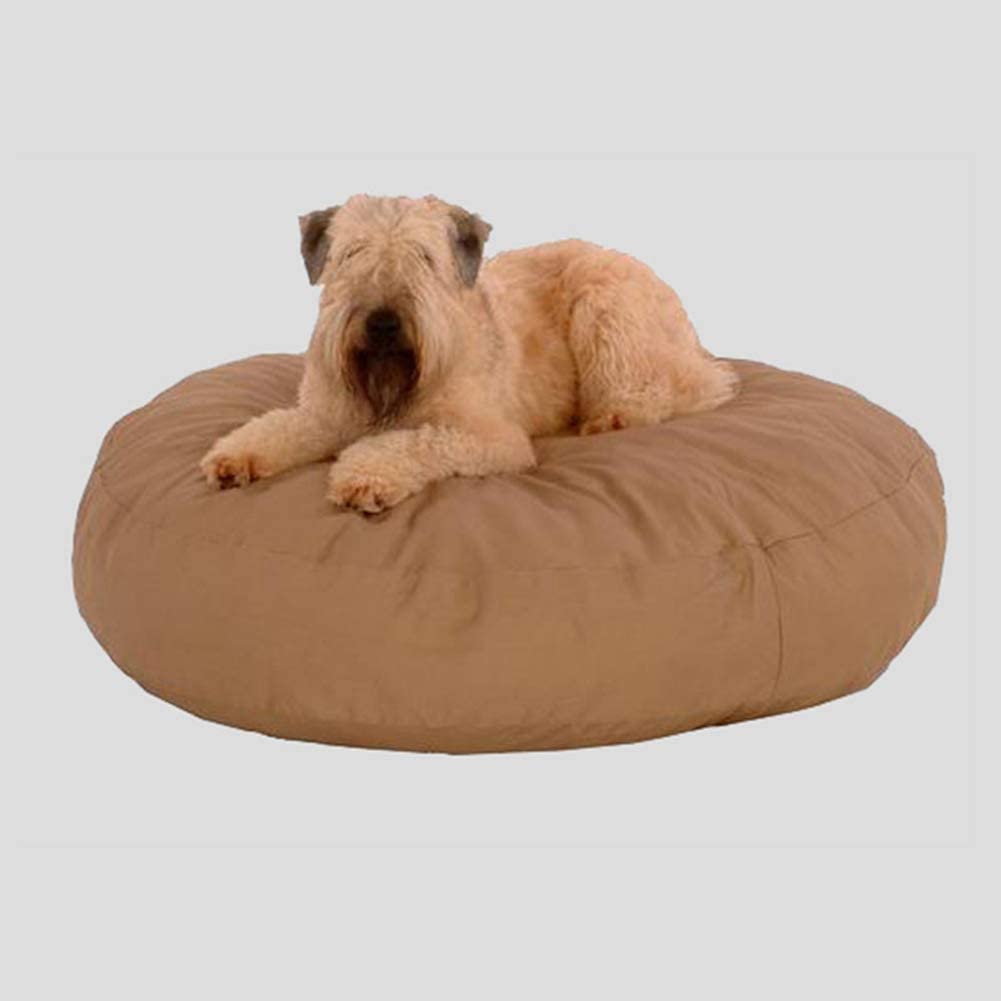  Monba Colchón ortopédico para Perro Premium con cojín extraíble con Cremallera, terapéutico/Apoyo/Cama cálida para Cachorros pequeños de 60 x 10 cm 