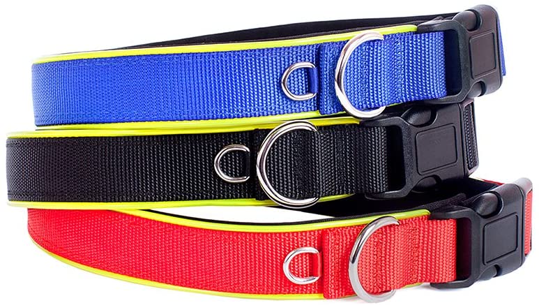  Moonpet Collar para perro de nailon acolchado y suave interior de neopreno, con velcro ajustable y reborde de plástico reflectante 