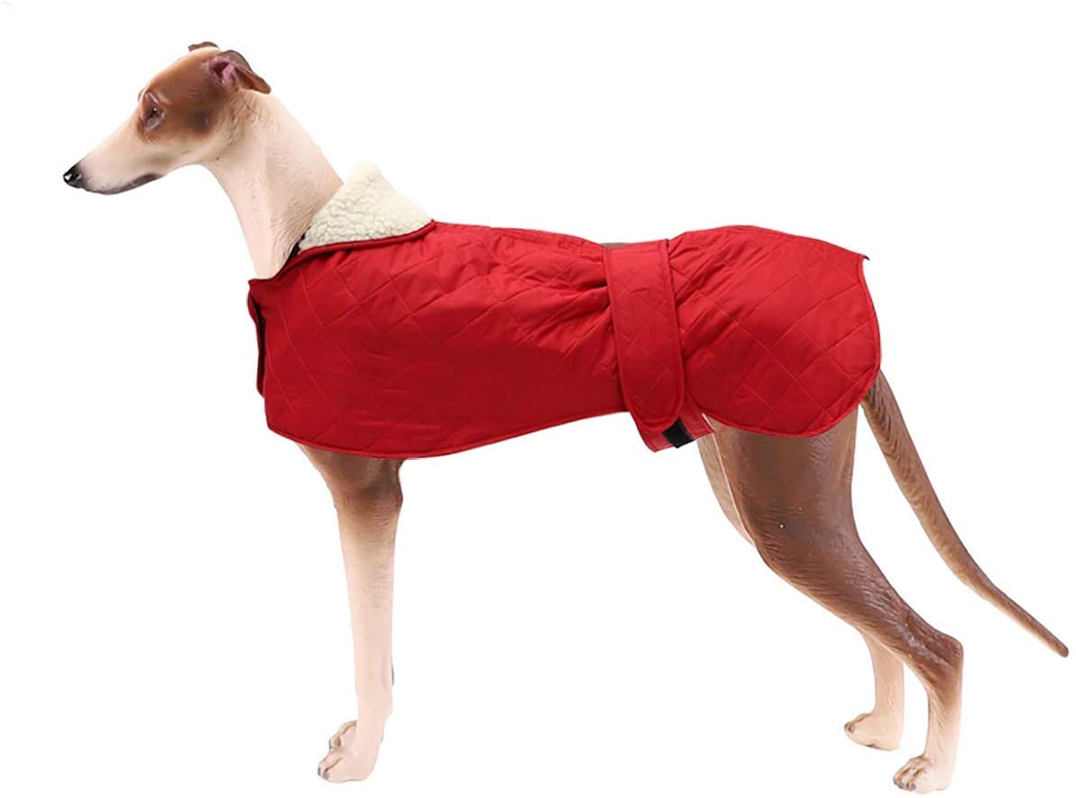  Morezi Chaqueta para Perro, Abrigo de Invierno para Perro con Forro Polar cálido, Impermeable con Bandas Ajustables para Galgos, Langostas y Marionetas 